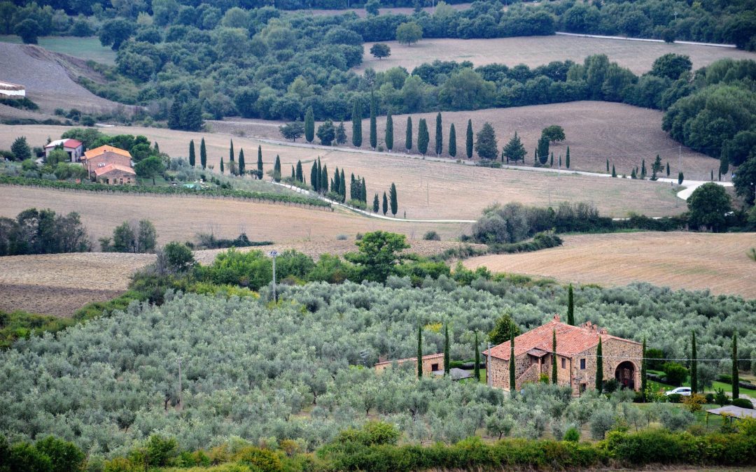 Online il nuovo sito di Selezione Immobiliare