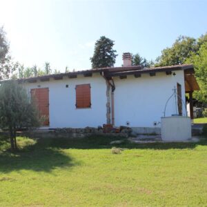 FOIANO DELLA CHIANA - VENDITA
