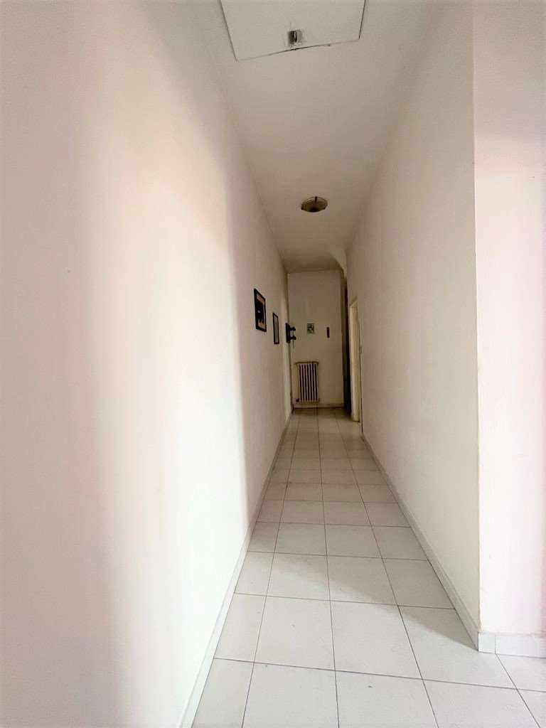imm_10116-20230802161435-1024