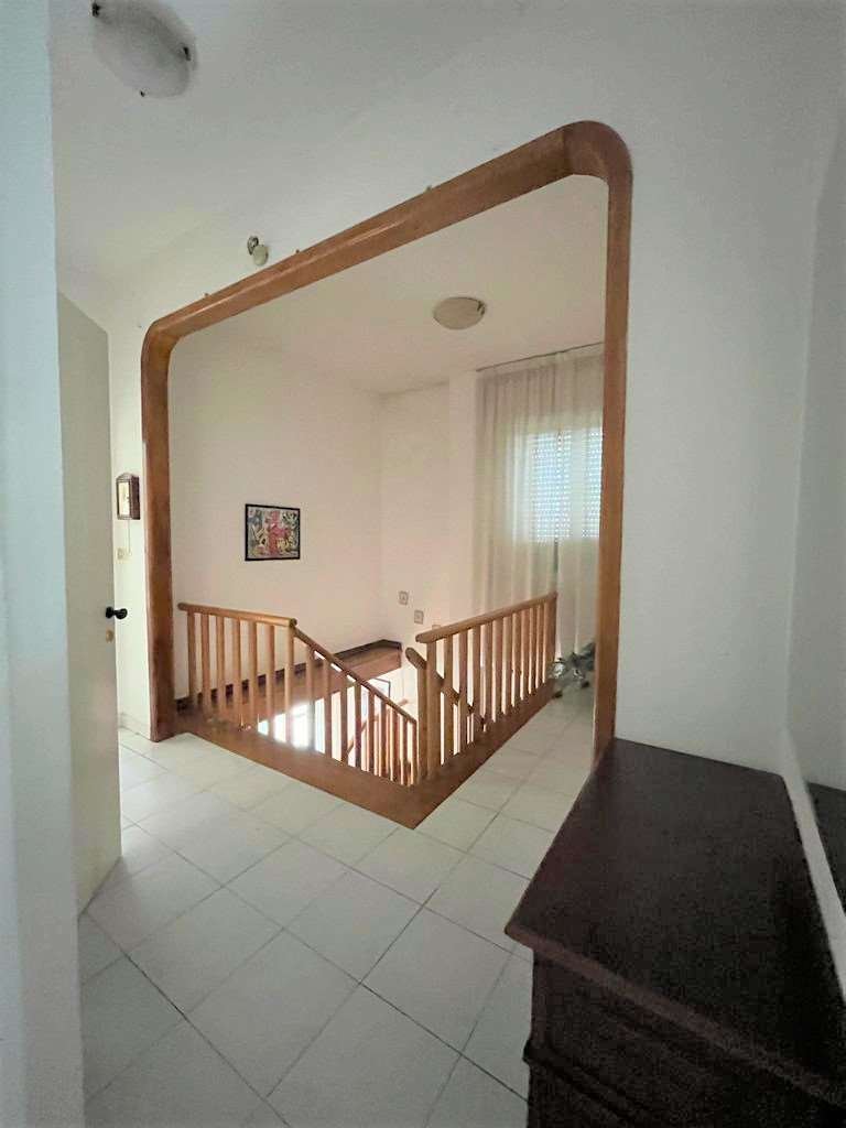 imm_10137-20230802161140-1024