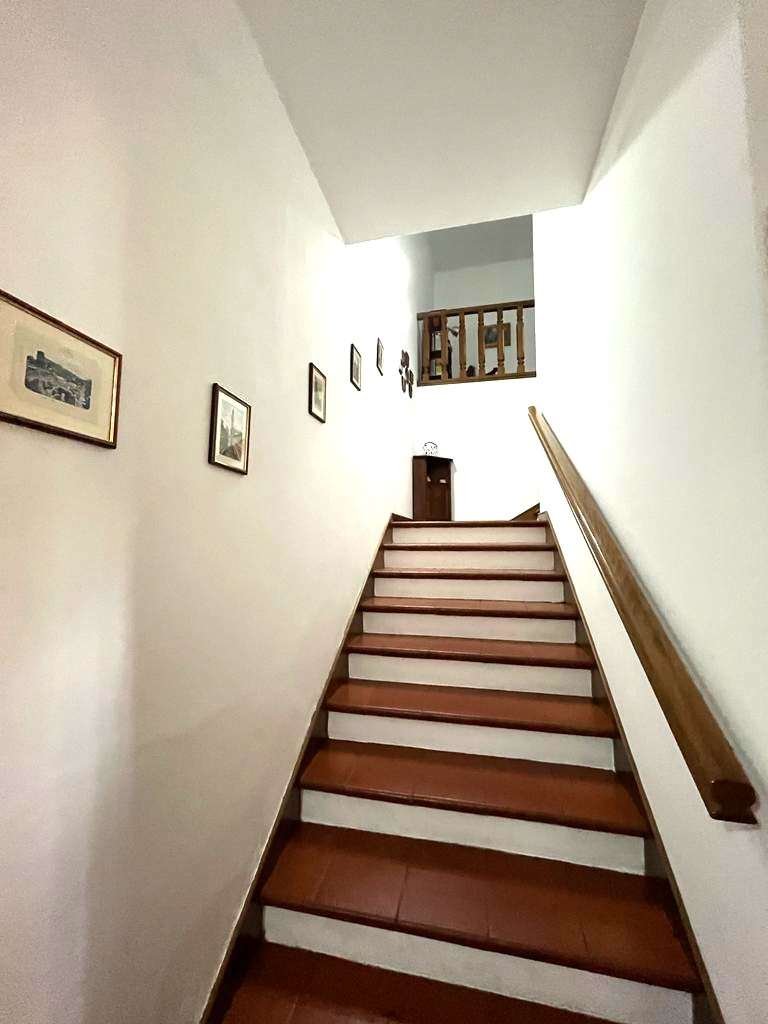 imm_10699-20231107082044-1024