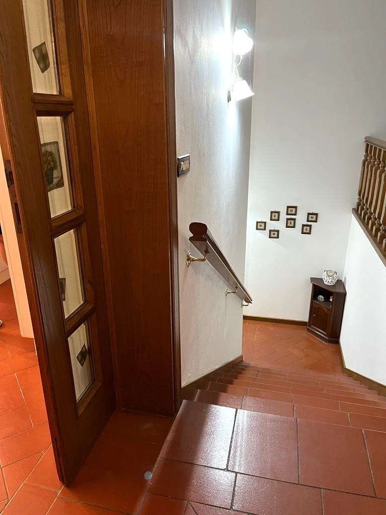 imm_10711-20231107082126-1024