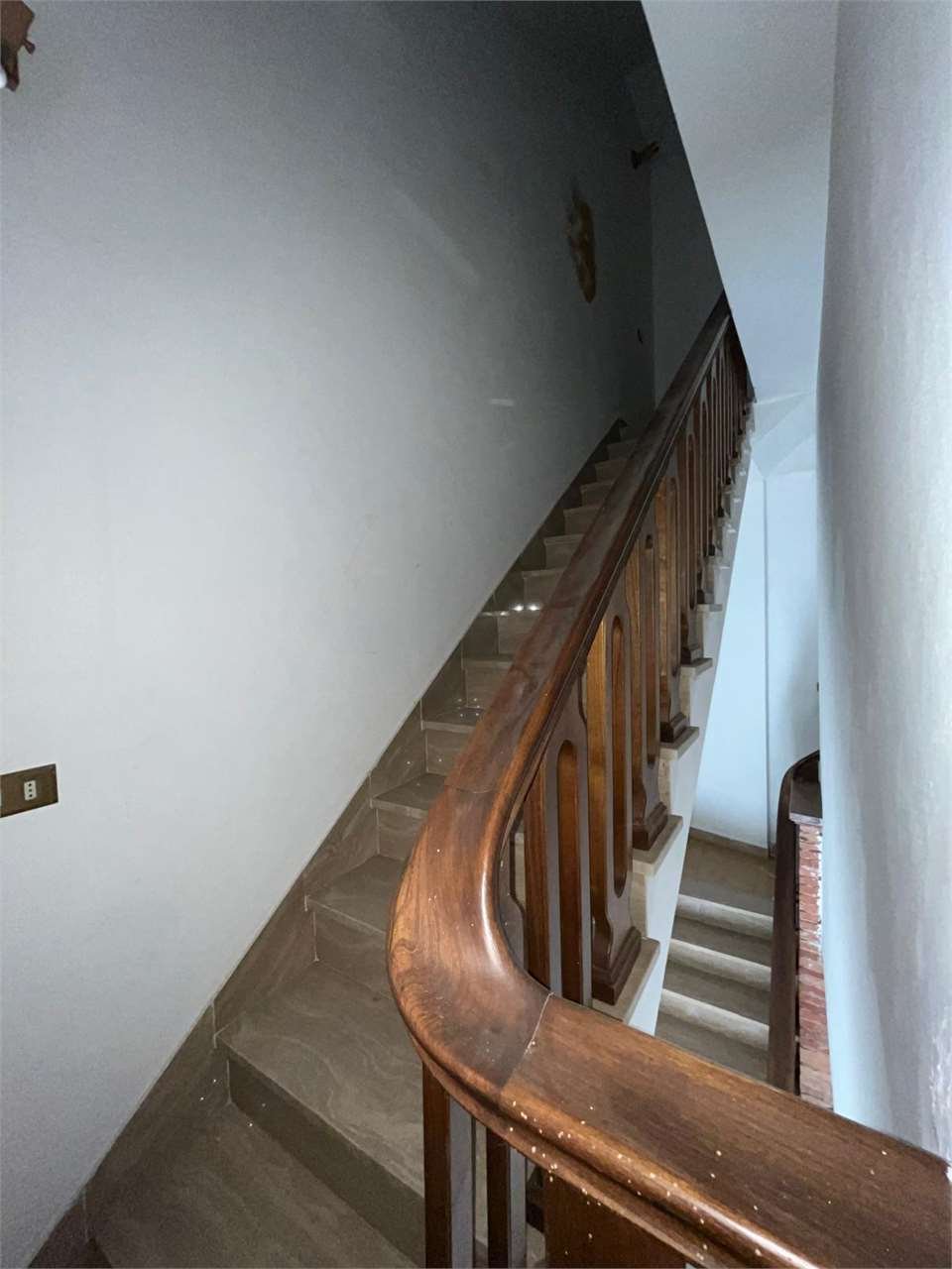 imm_11831-20240820113432-1280