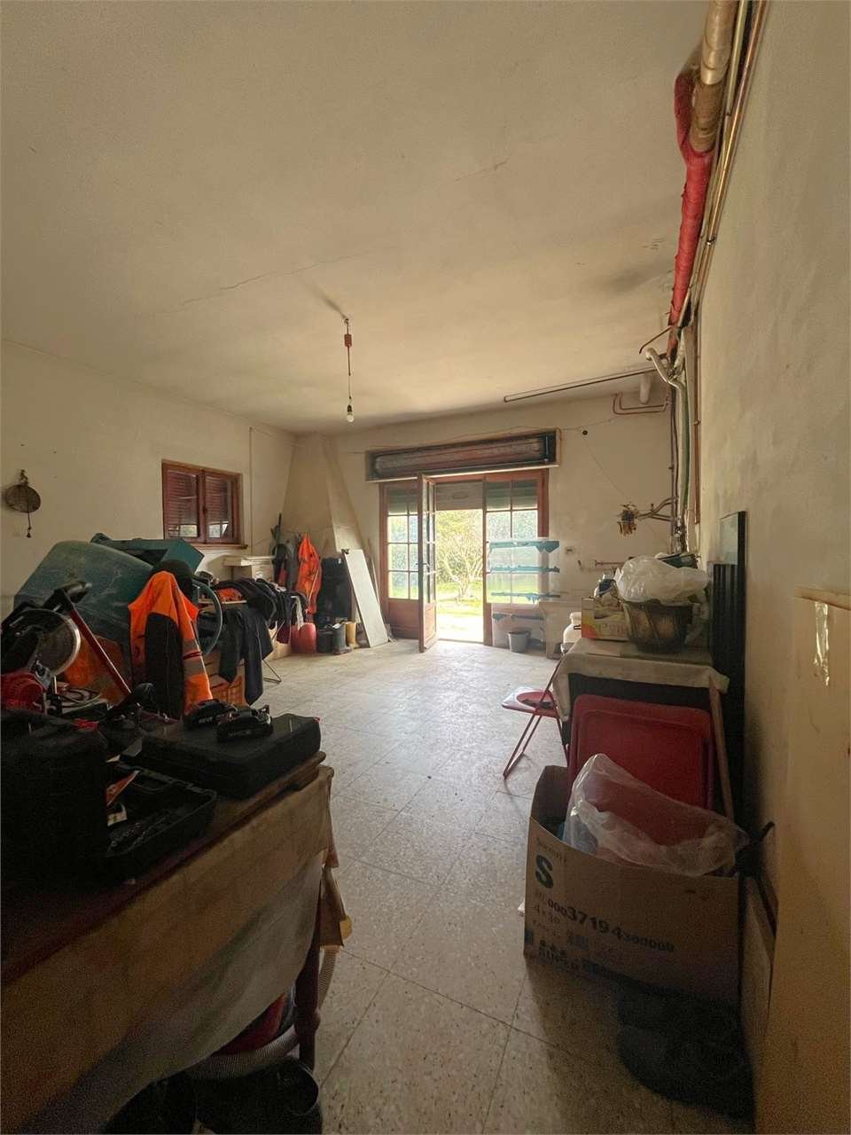 imm_12495-20250204093852-1280