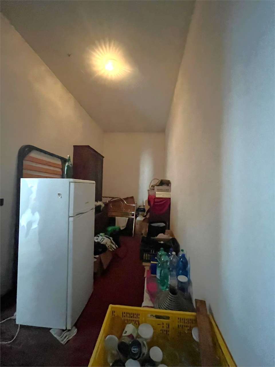 imm_12500-20250204093848-1280