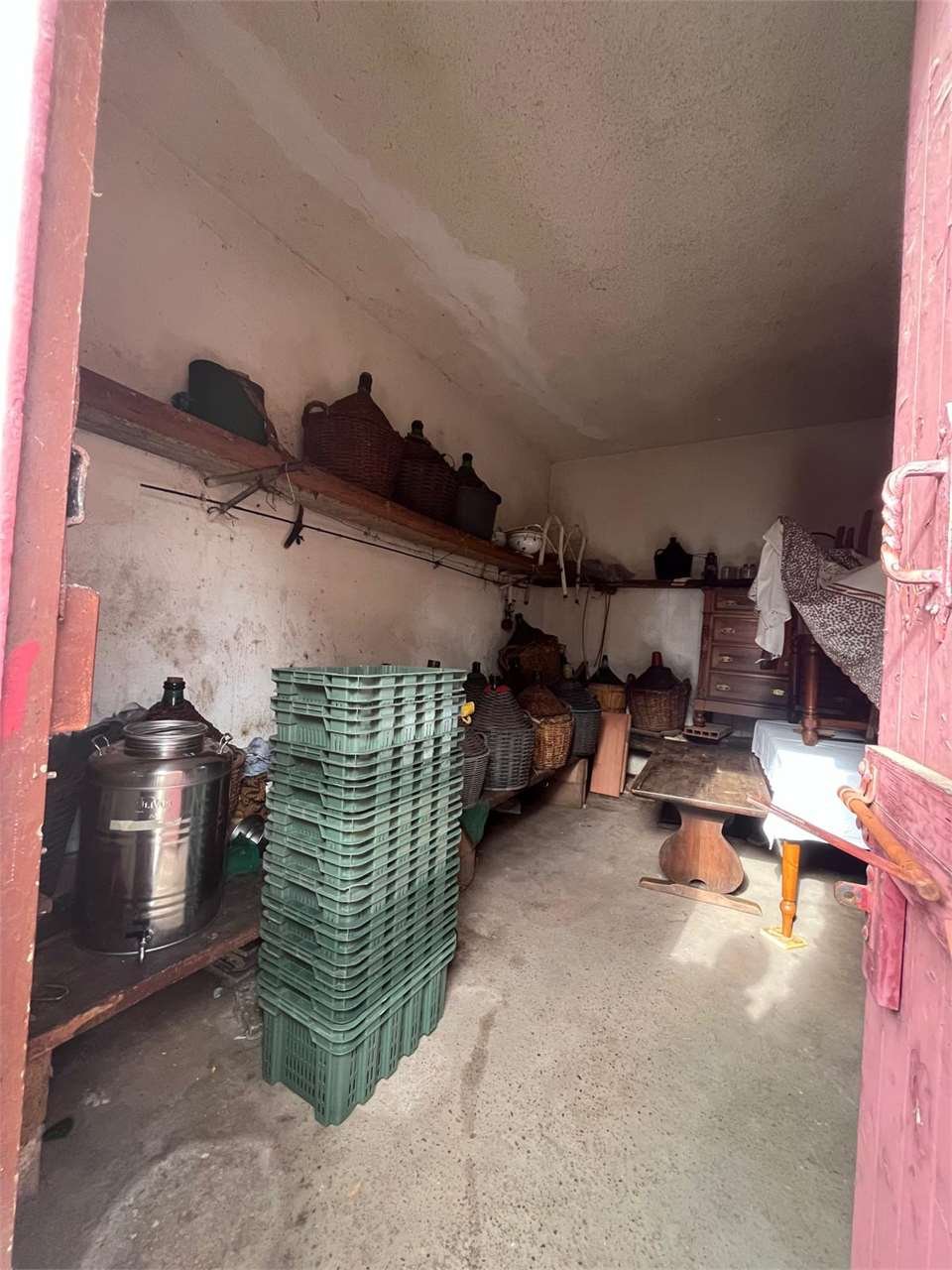 imm_12508-20250204093834-1280