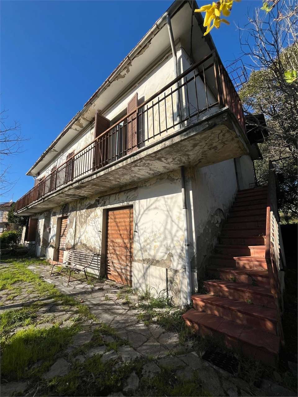imm_12737-20250408130442-1280