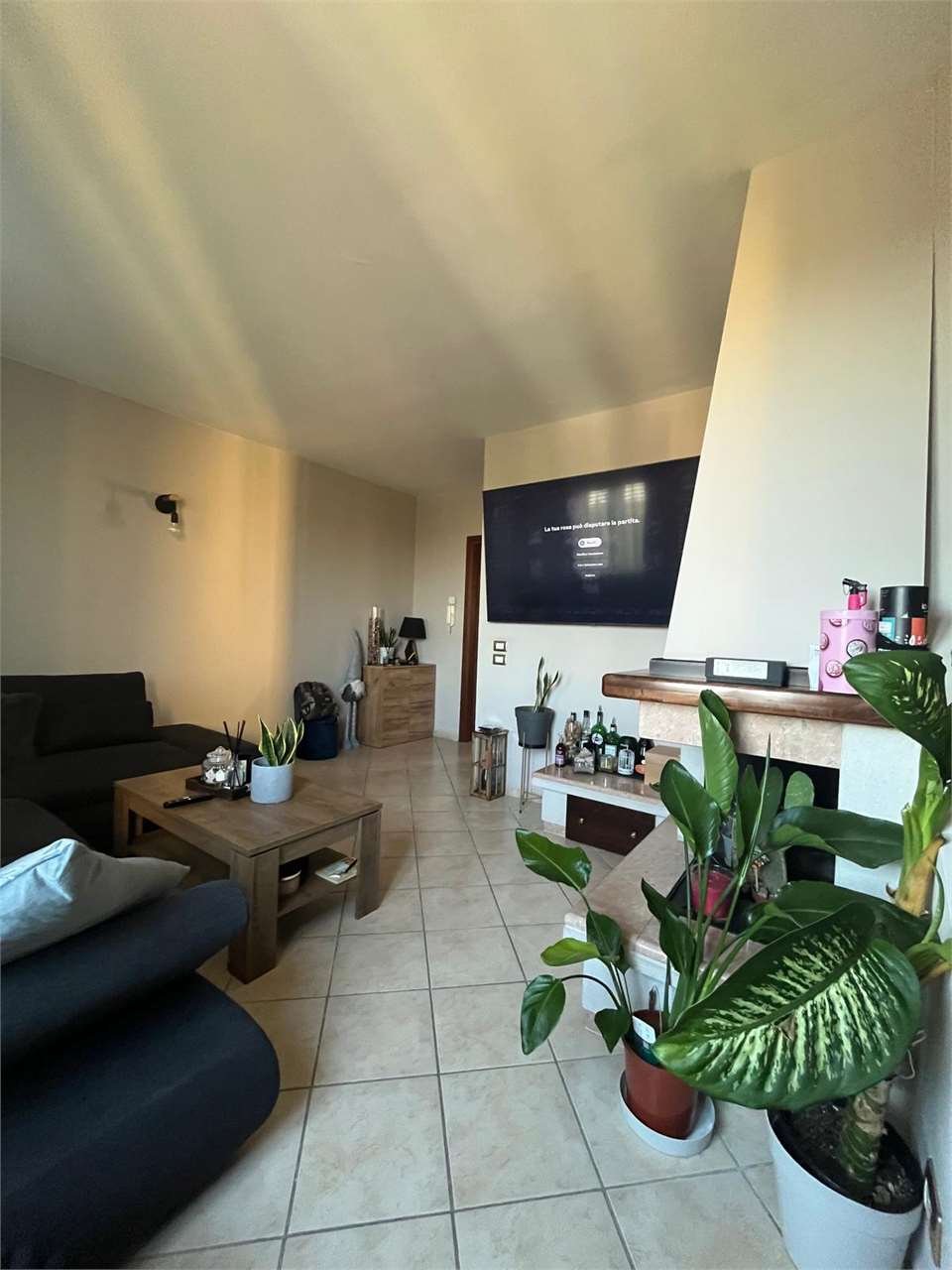 imm_14127-20250719105247-1280