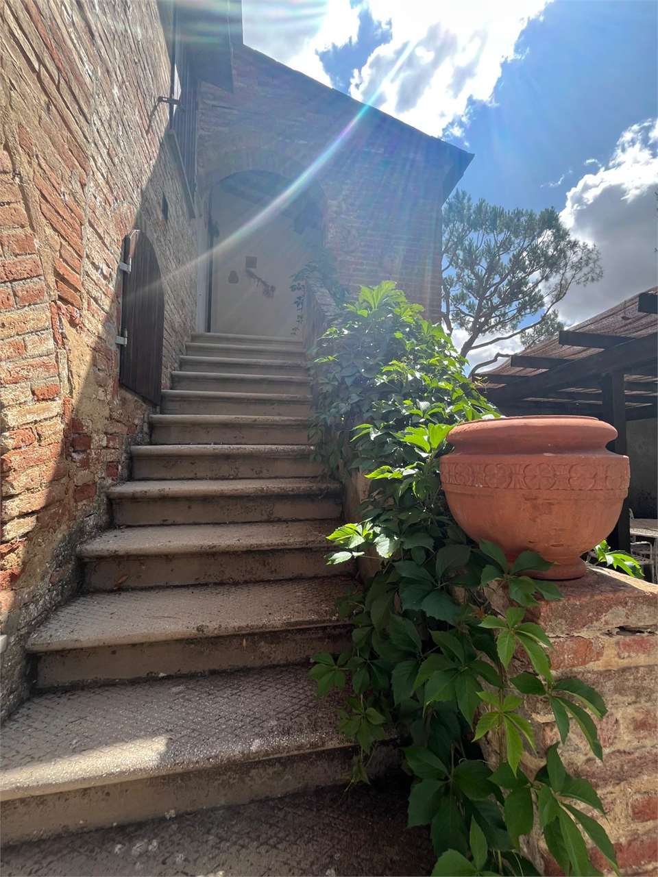 imm_14168-20250719153733-1280