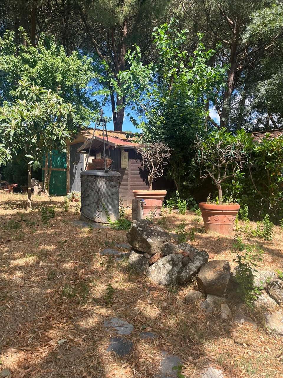 imm_14182-20250719153551-1280