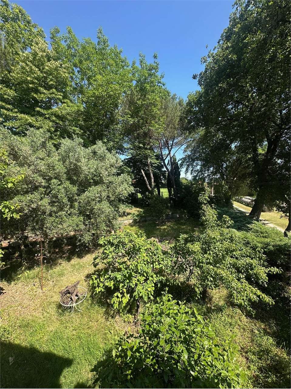 imm_14187-20250801123925-1280
