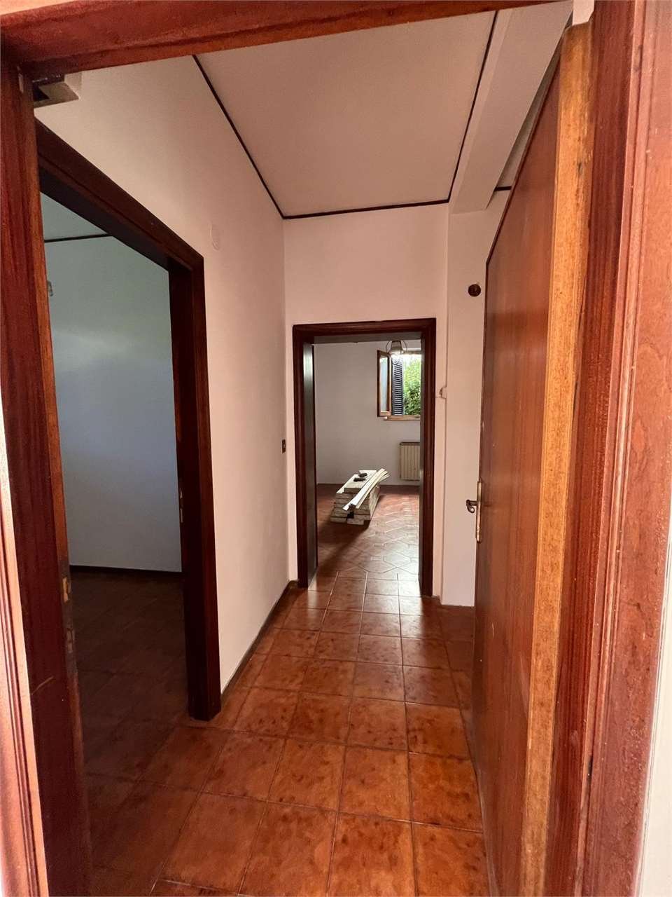 imm_14474-20251115094353-1280