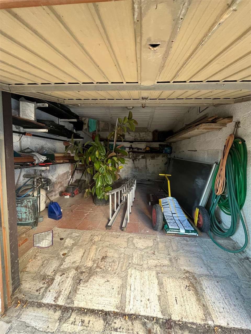 imm_14663-20251130190853-1280