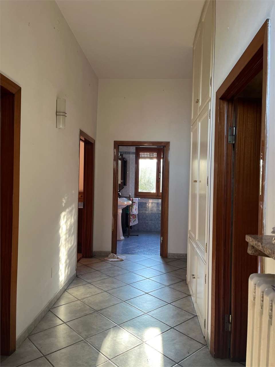 imm_14669-20251130191020-1280