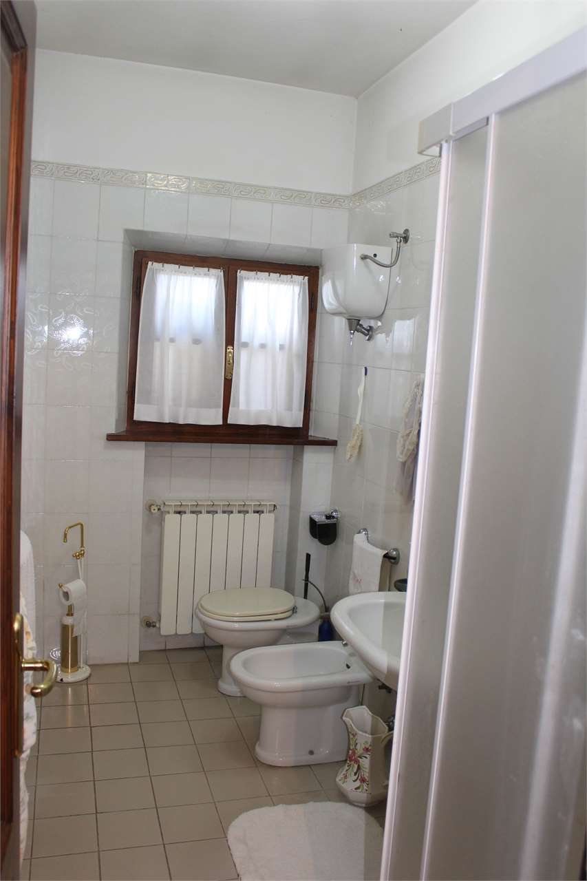 imm_2907-1280