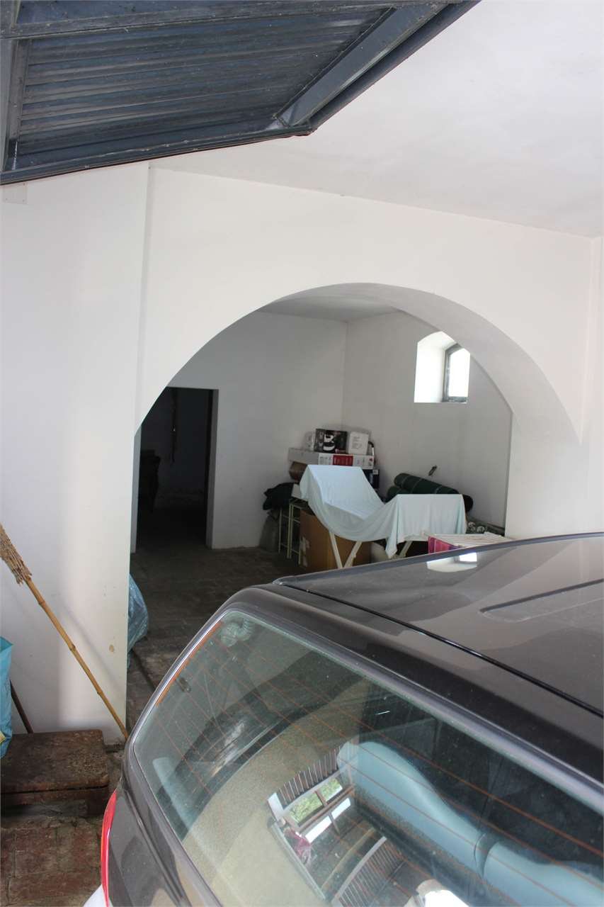 imm_2911-1280