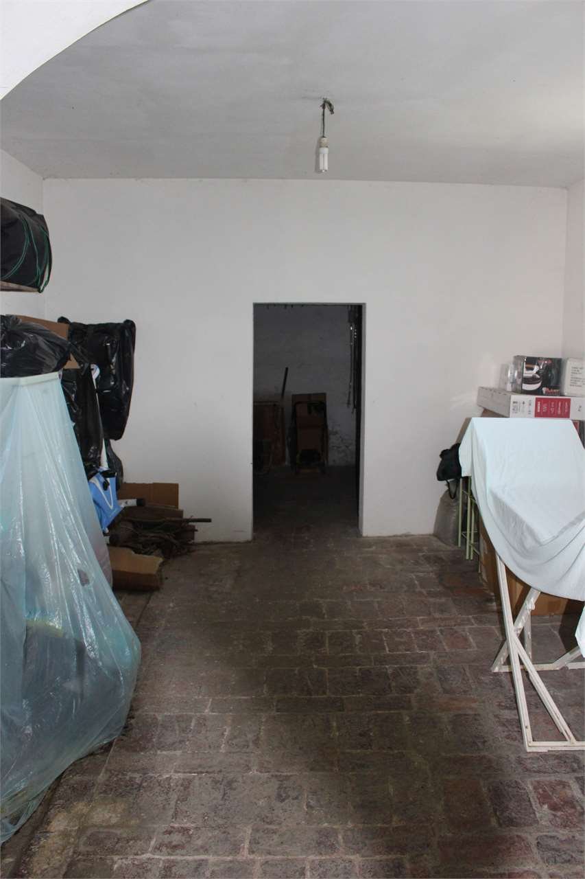 imm_2912-1280