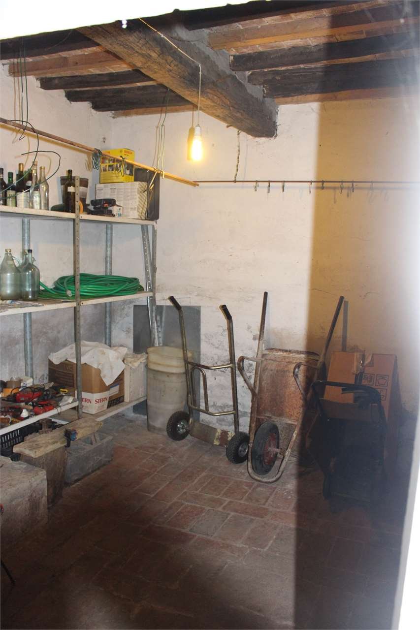 imm_2913-1280