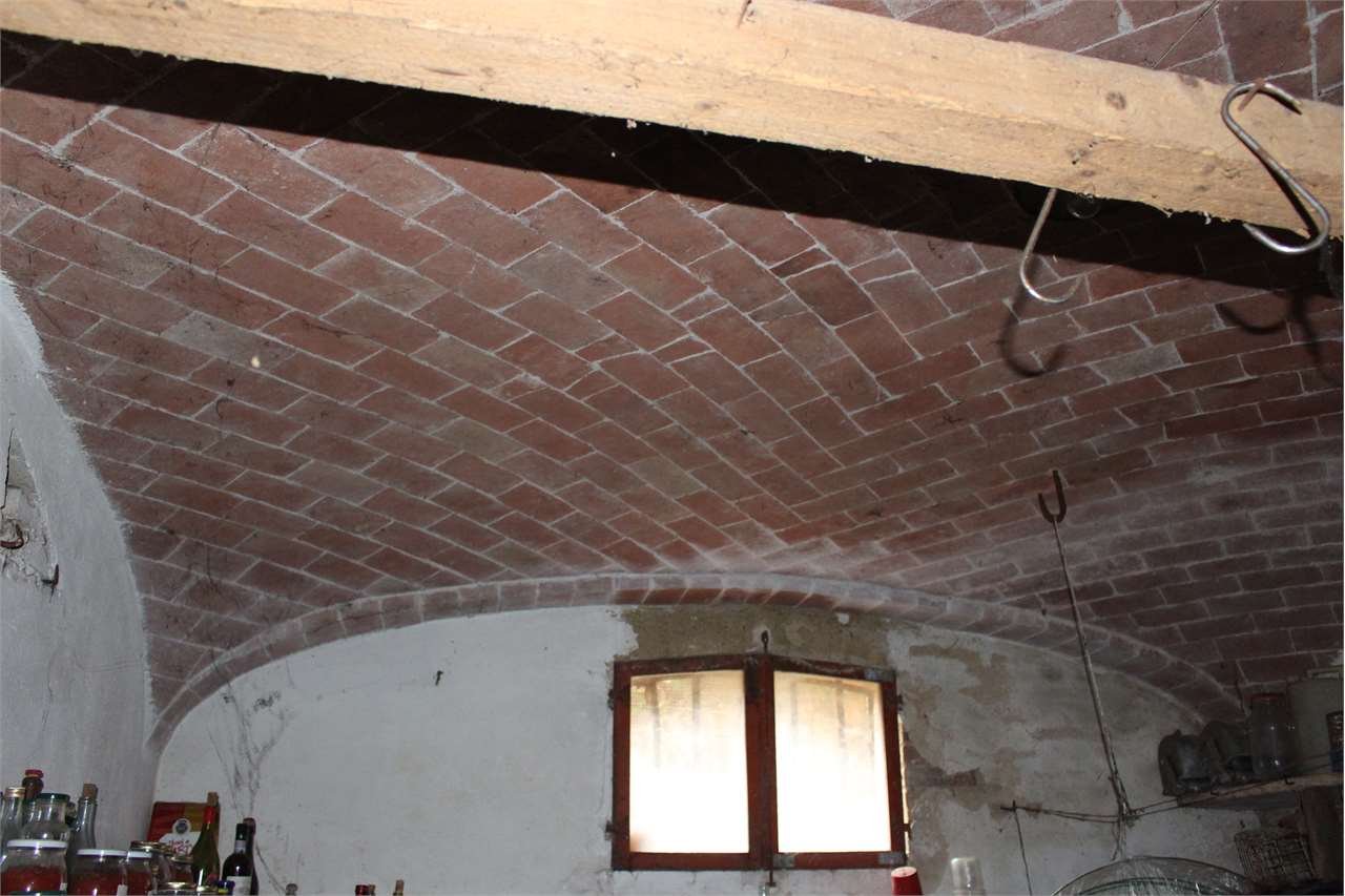 imm_4193-1280-