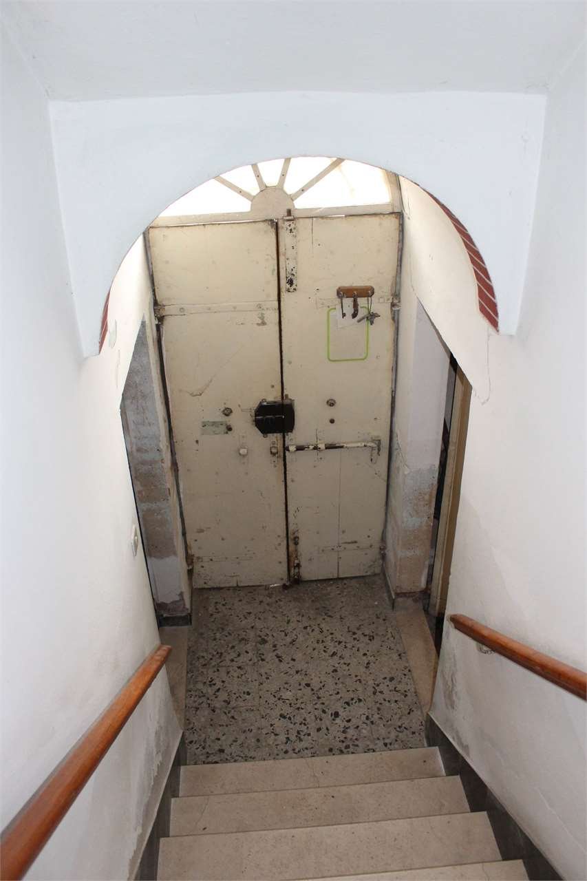imm_4194-1280