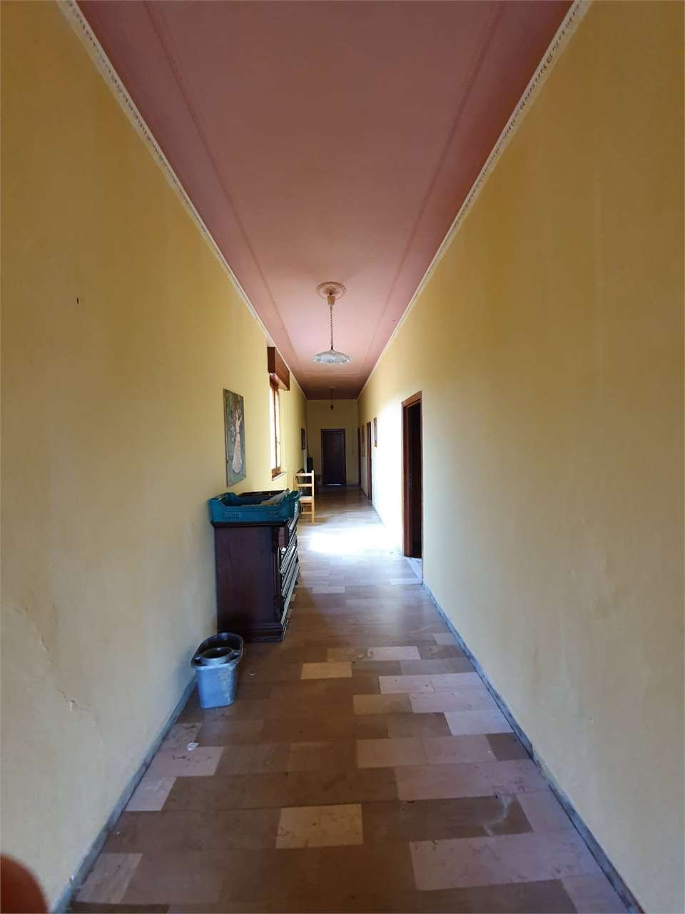 imm_4642-1280