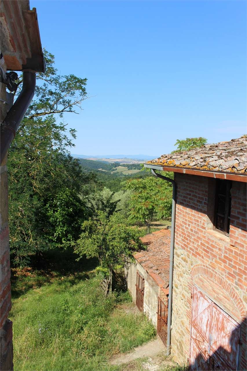imm_4665-1280