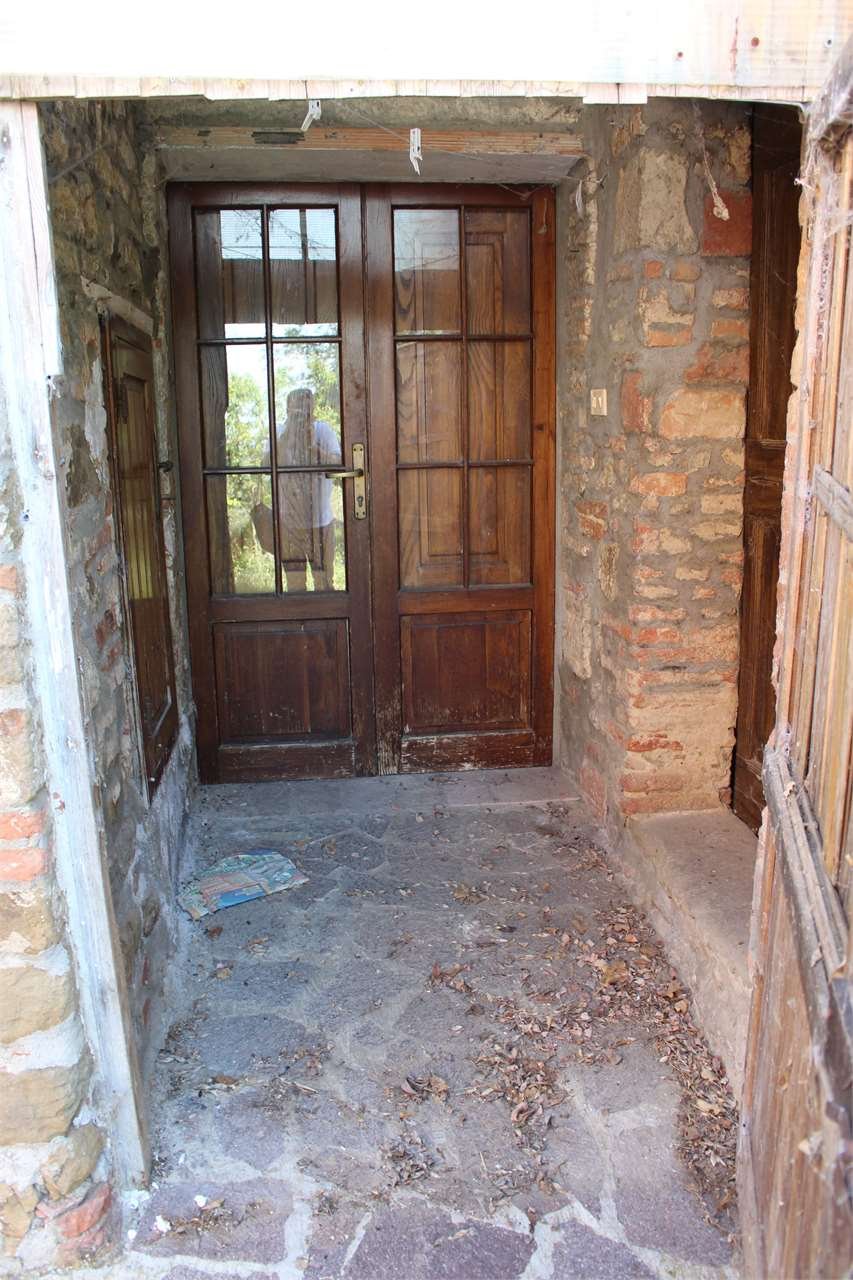 imm_4666-1280