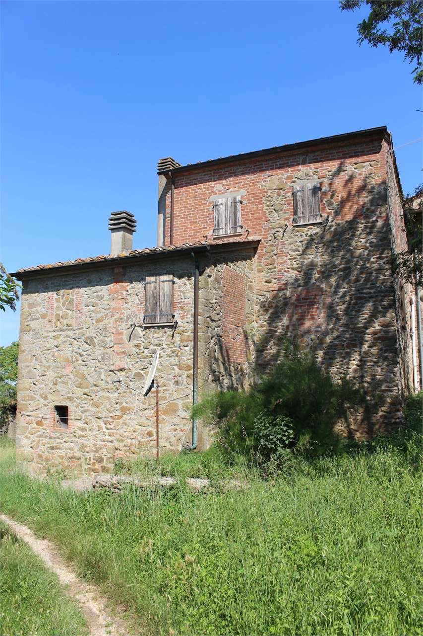 imm_4668-1280