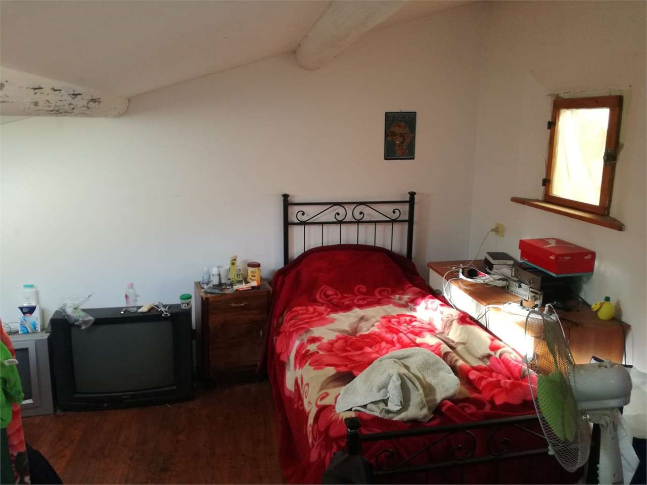 imm_5043-1280-