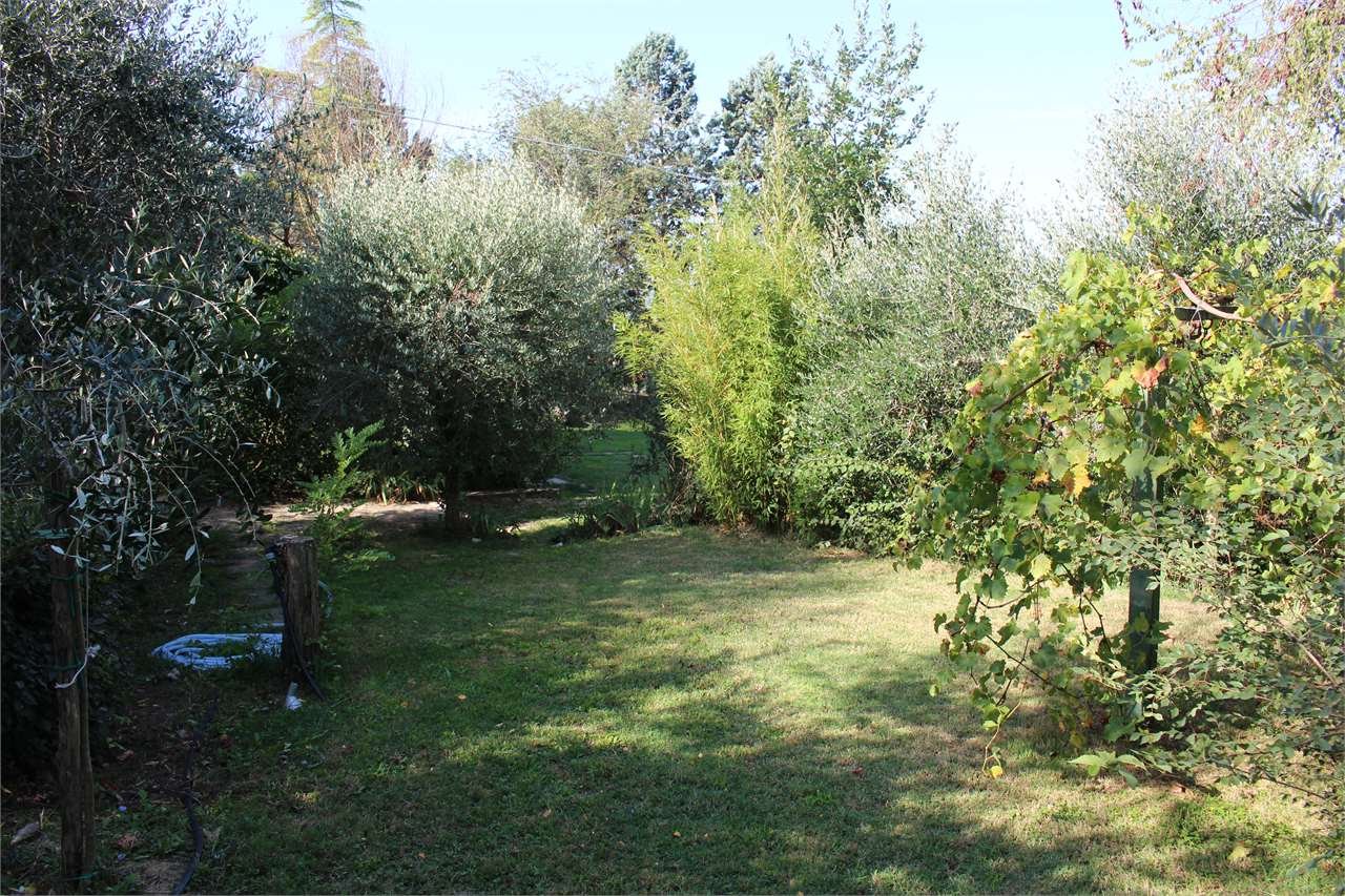 imm_5171-1280-