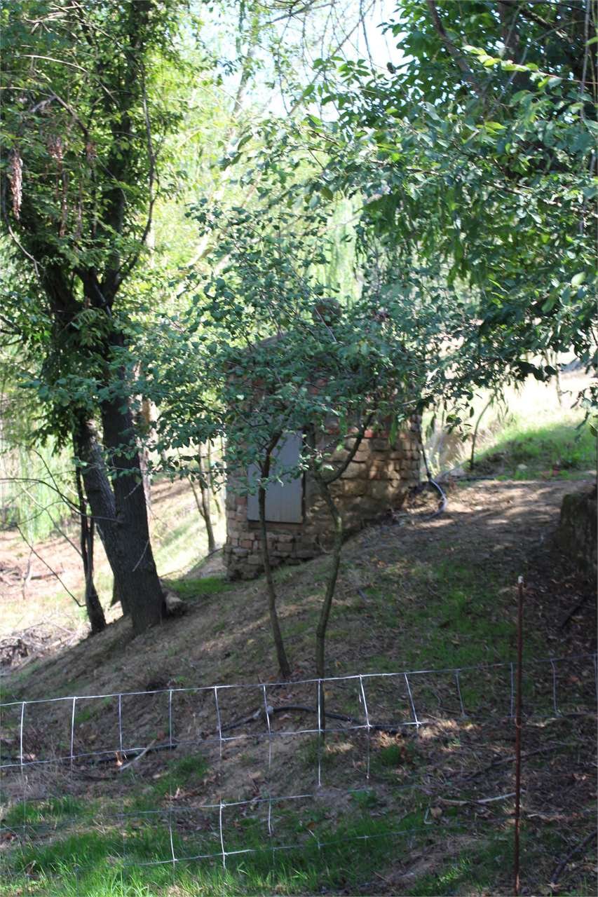 imm_5176-1280