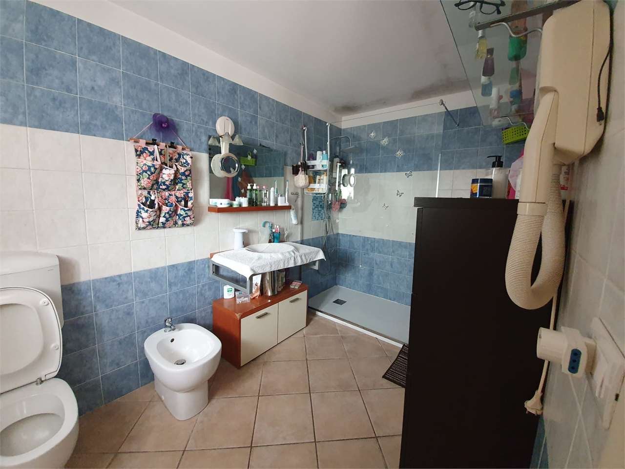 imm_7064-1280-