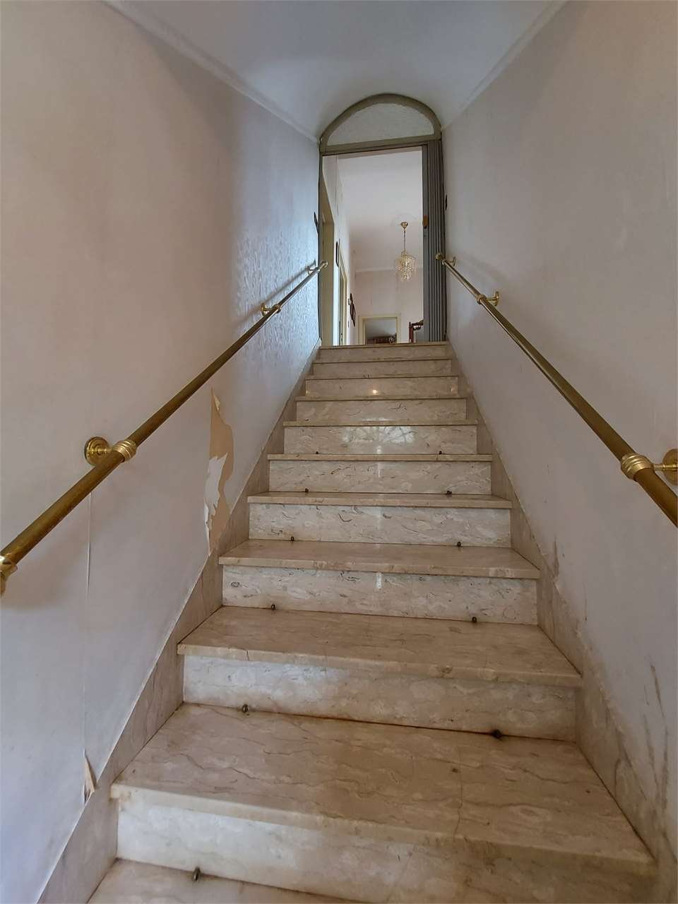 imm_7187-1280