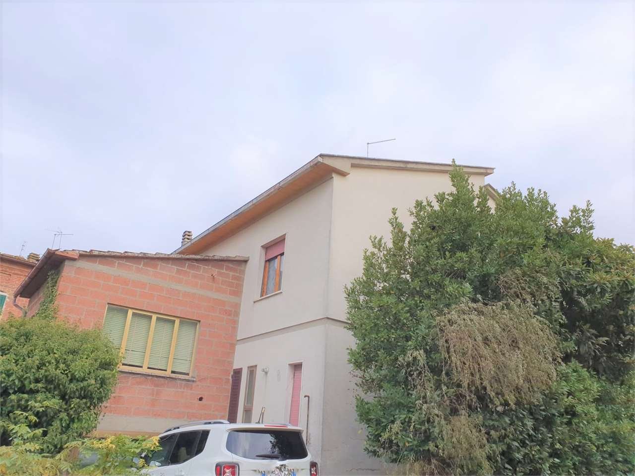 imm_7491-1280-