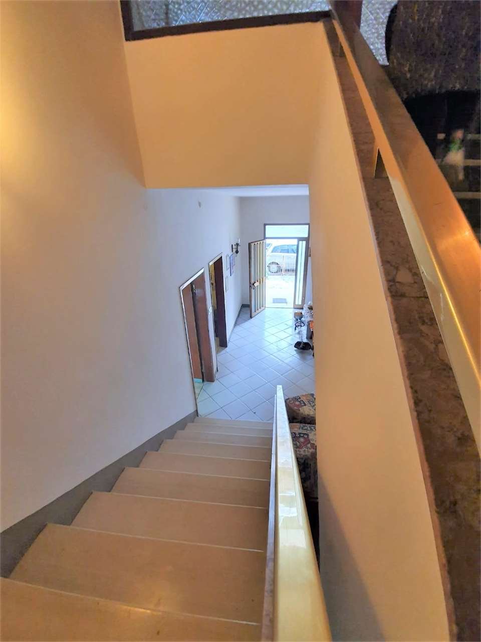 imm_7495-1280
