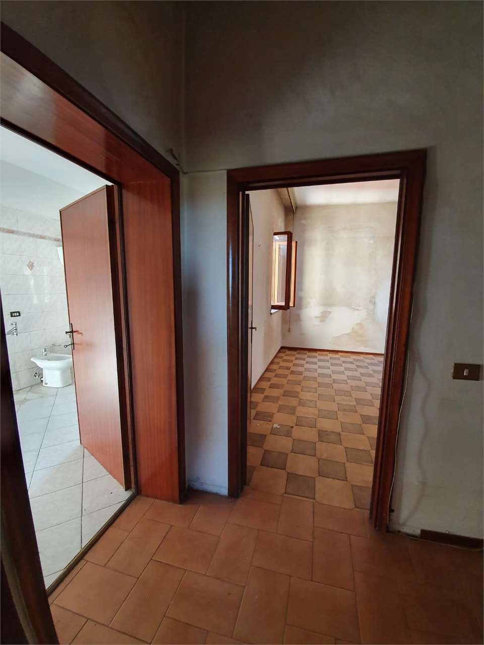 imm_7576-1280