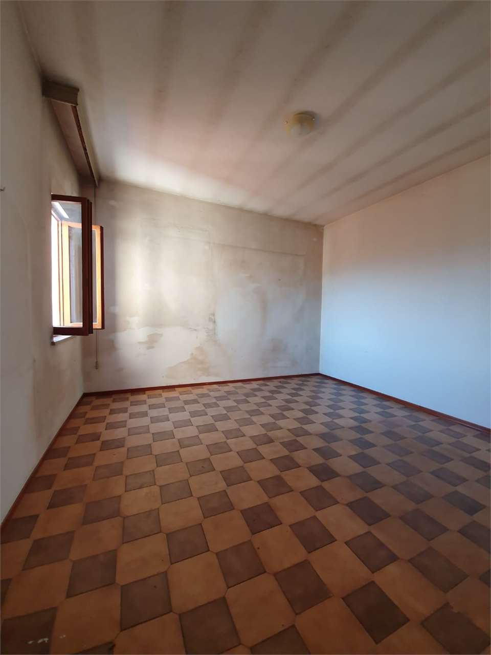 imm_7577-1280
