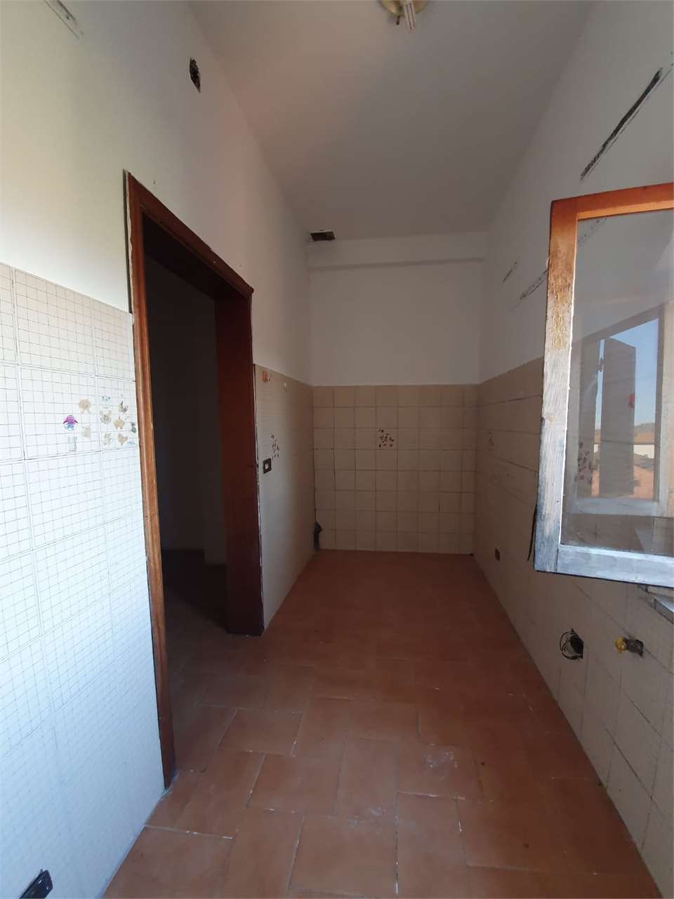 imm_7579-1280