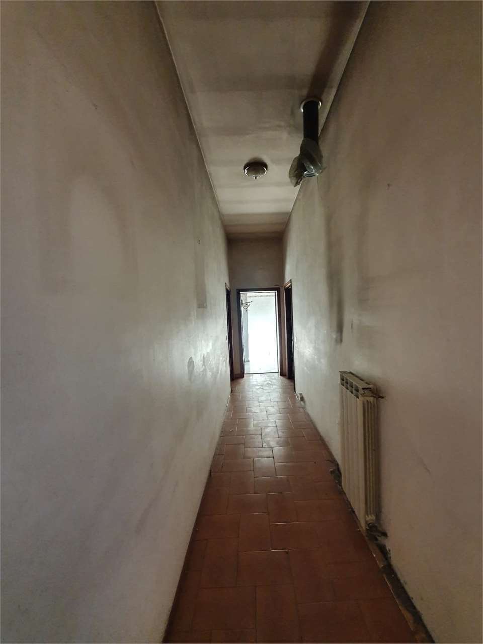 imm_7580-1280