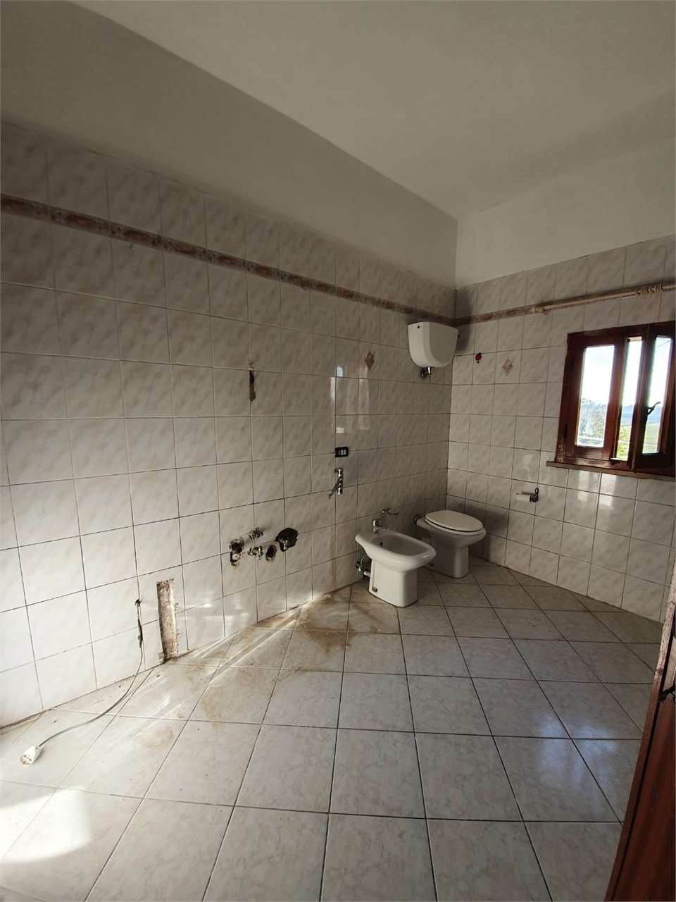 imm_7581-1280