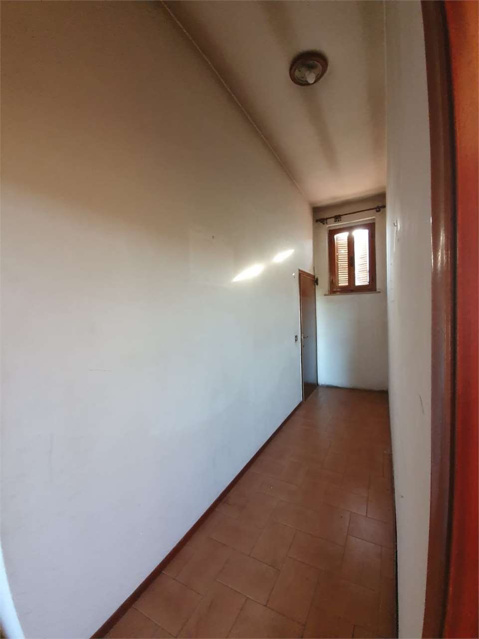 imm_7584-1280