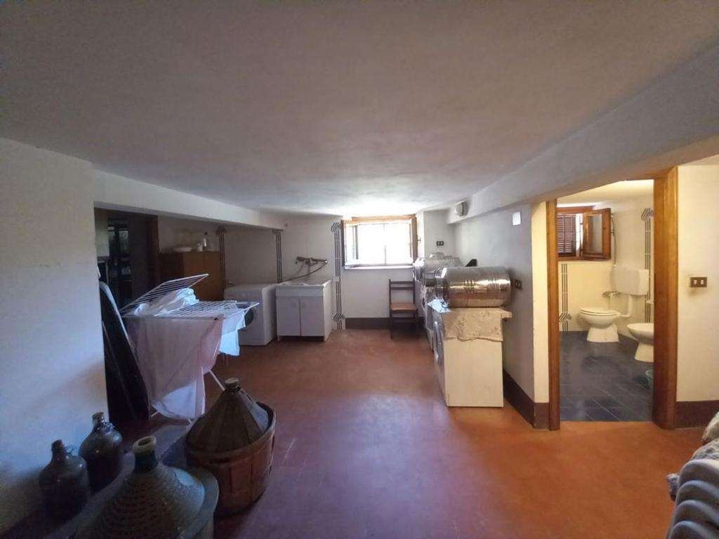 imm_8193-20220604101912-1024-