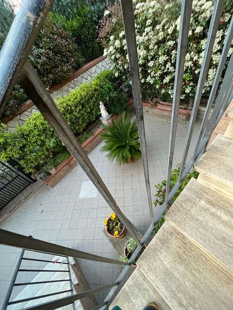 imm_9643-20230506102028-1024