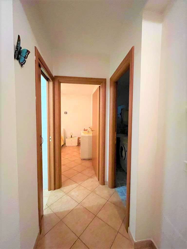 imm_9660-20230512113937-1024