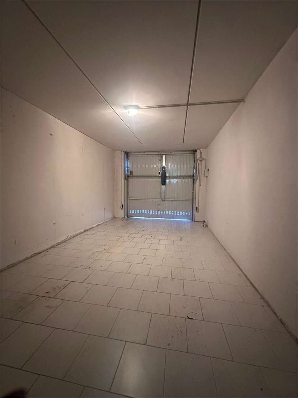 imm_15095-20261009155949-1280
